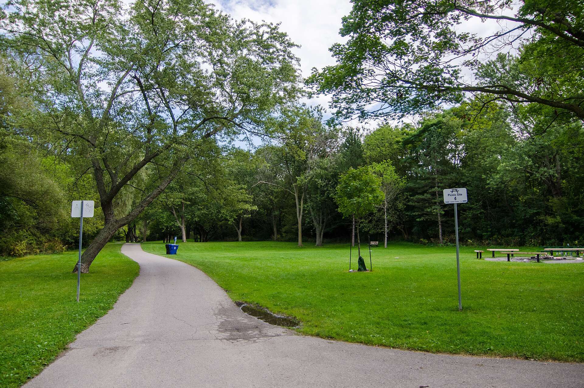 A path through Taylor Creek Park in East York