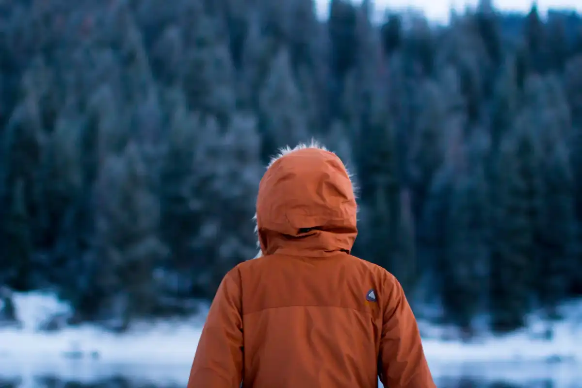 Person in an orange hooded winter parka facing a snowy forest