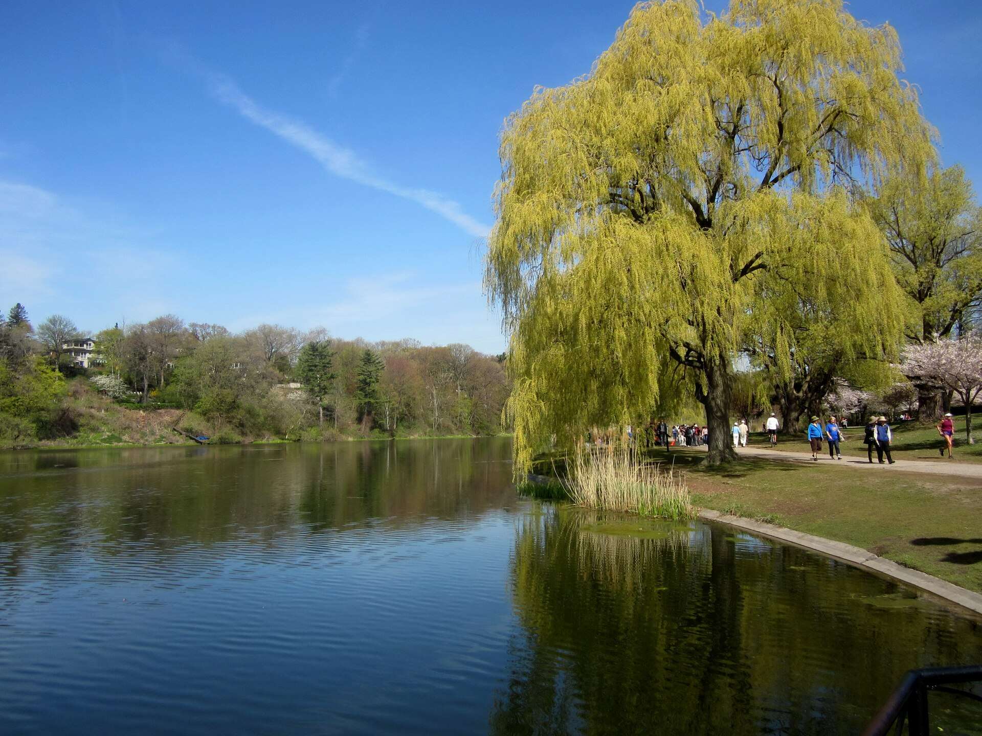 Grenadier Pond in High Park in Toronto's west end
