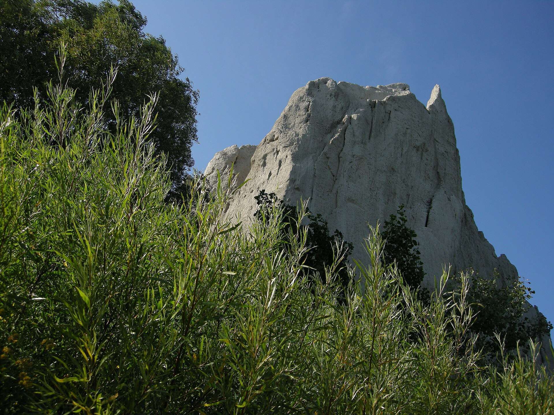 The white cliffs of the Scarborough Bluffs above Lake Ontario
